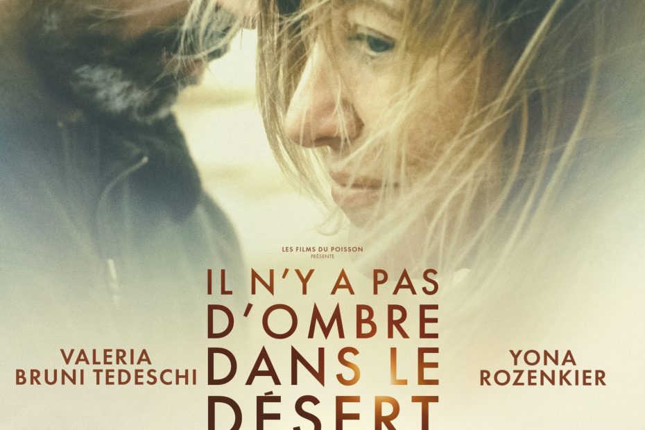 Affiche du film - Il n'y a pas d'ombre dans le désert